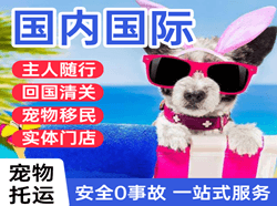 景德镇罗家航空货运国际宠物托运 【国